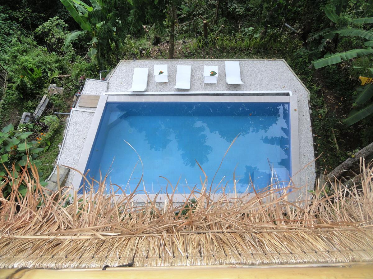 Putu Yoga Bungalow Убуд Бассейн фото